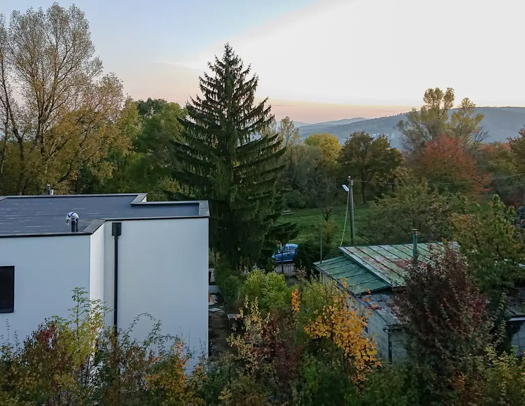 Kleingartengrundstück mit außergewöhnlicher Größe