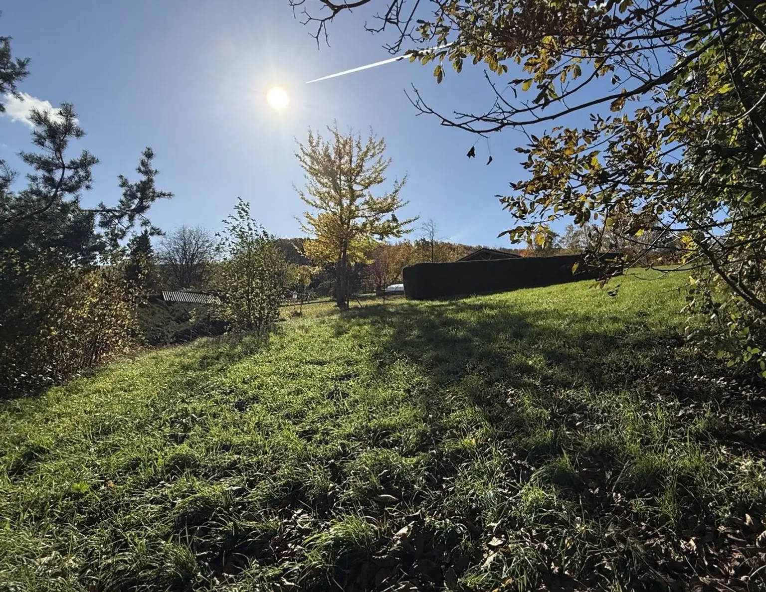 Wo der Morgen nach Wald duftet!