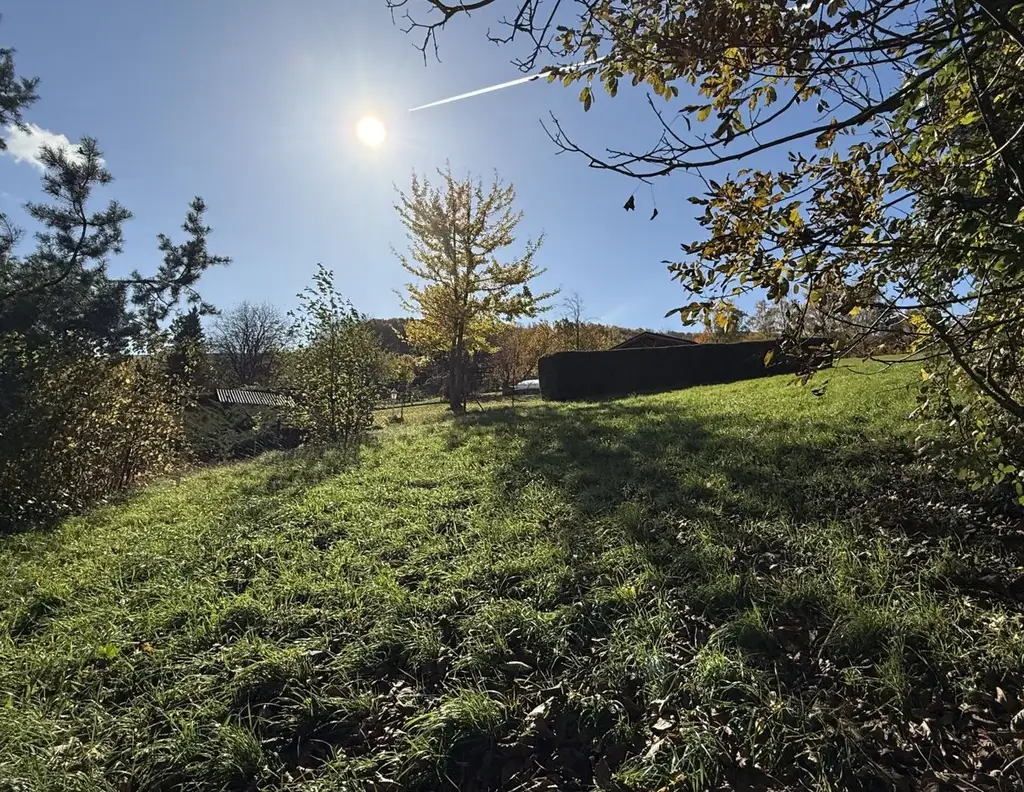 Wo der Morgen nach Wald duftet!