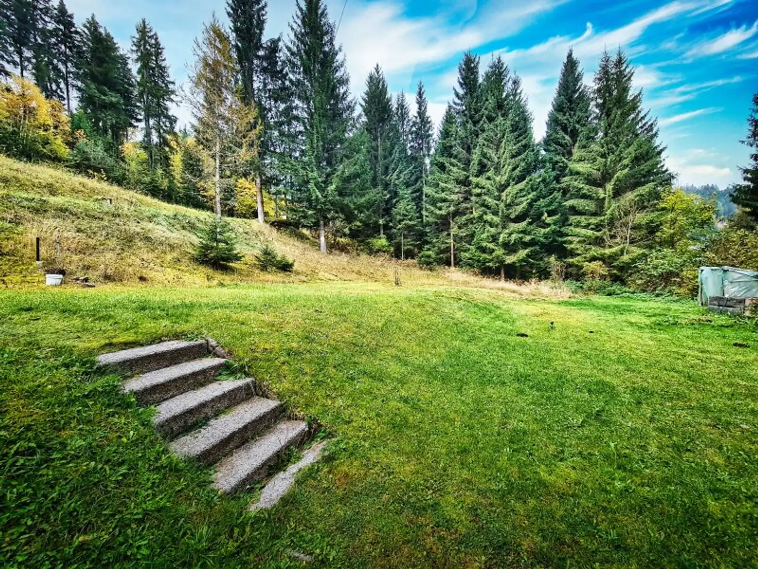 Teilsaniertes Wohnhaus am Waldesrand am Fuße der Nockberge