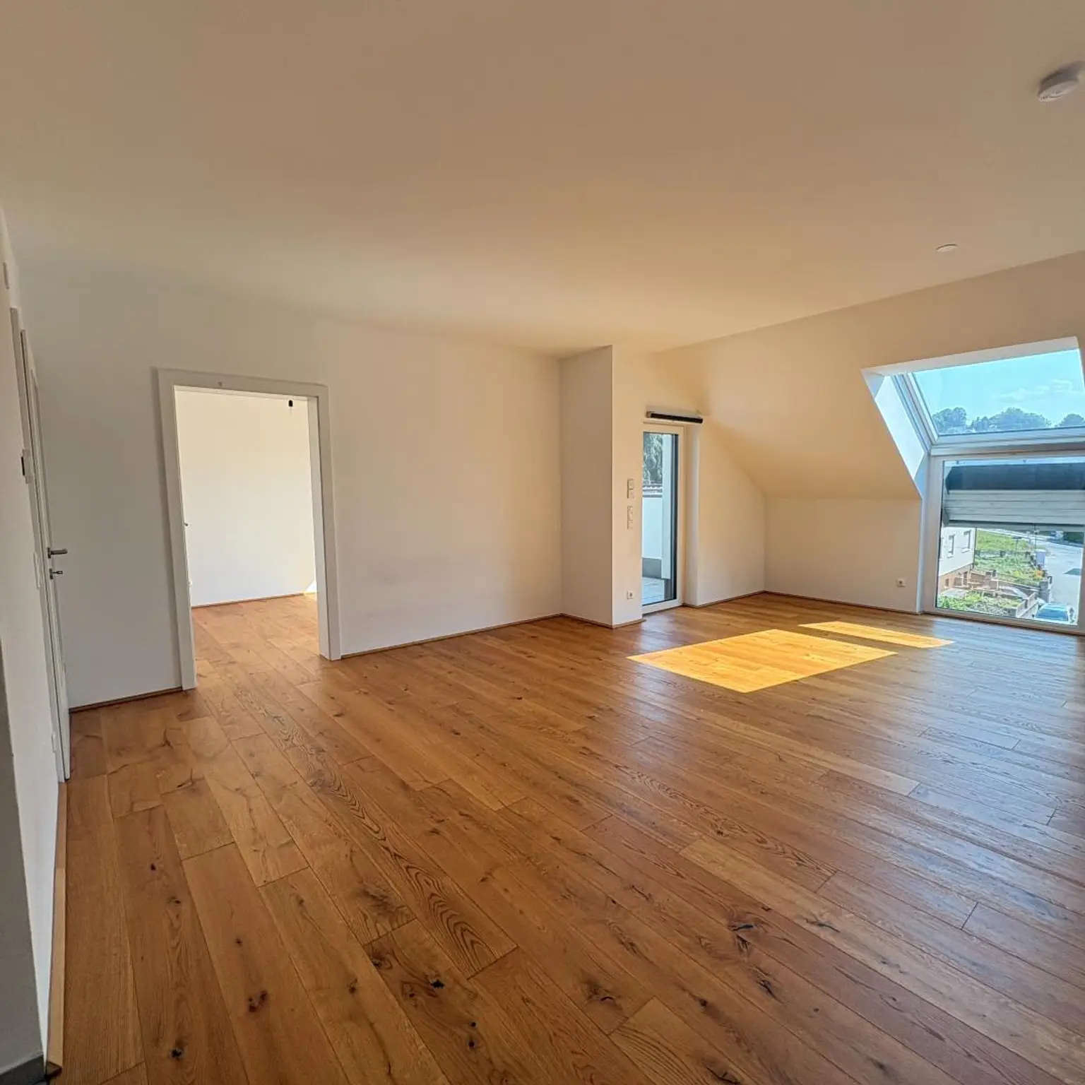 image00038