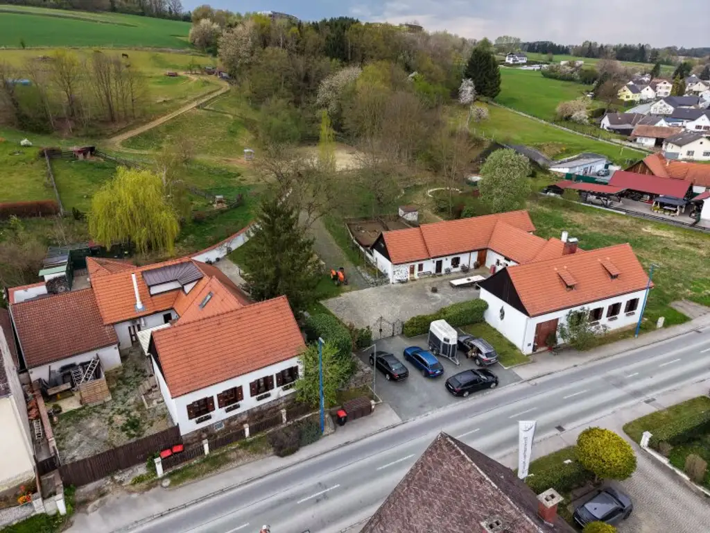 Pferde, Golf und Thermenwellness - Im sonnigen Südburgenland