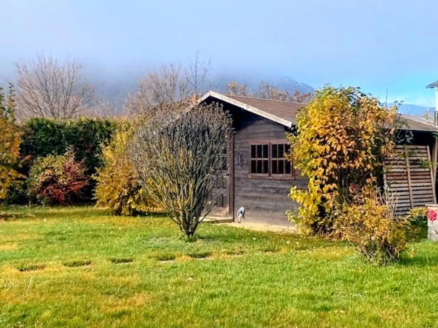 Weihnachten schon im neuen Haus feiern!