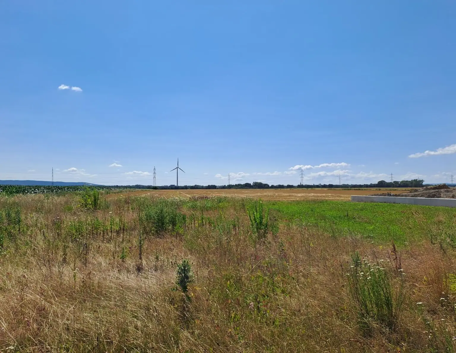 Baugrundstück am Feldesrand