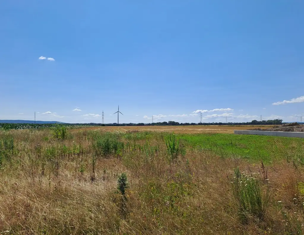 Baugrundstück am Feldesrand