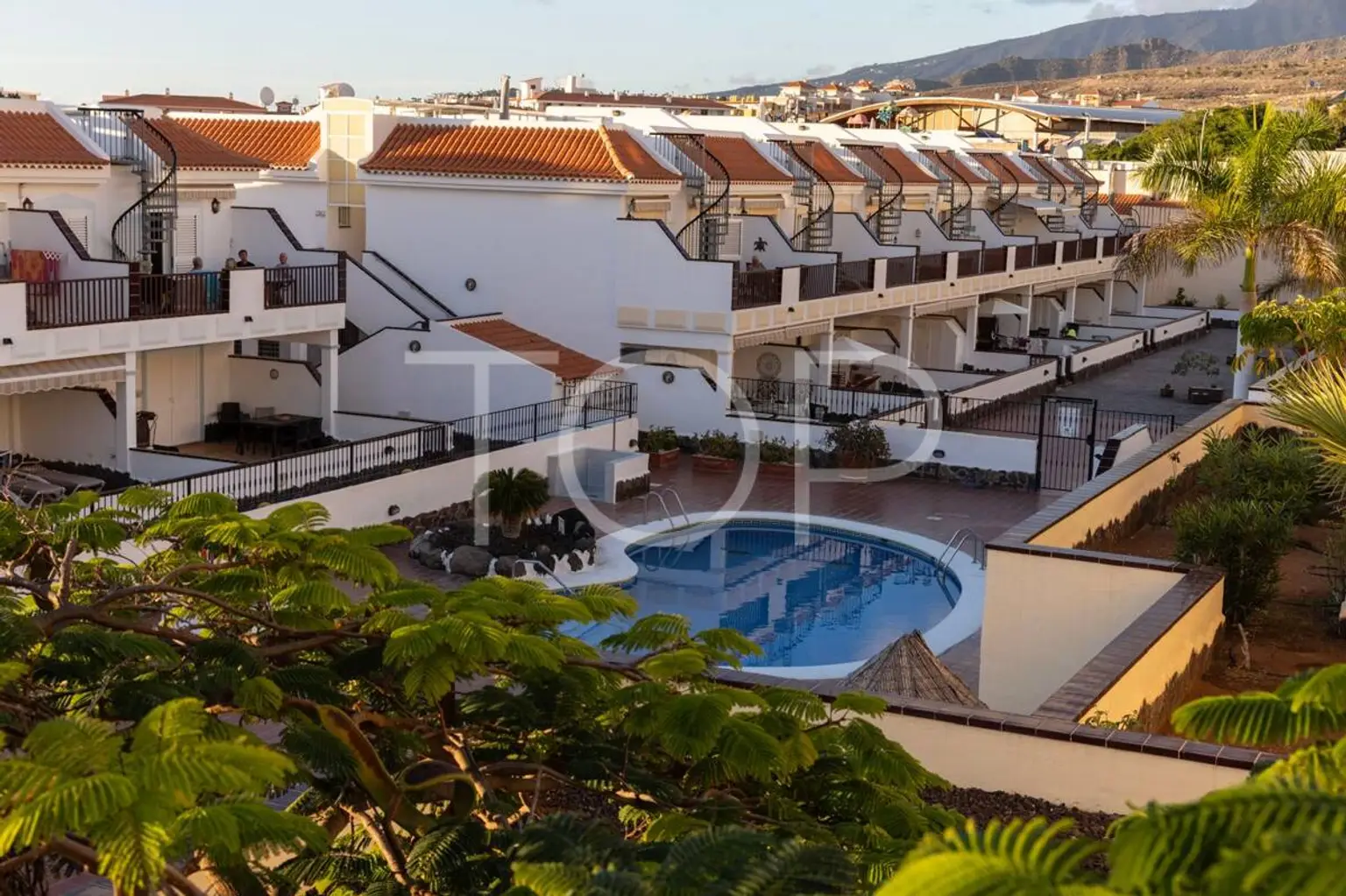 WhatsApp Image 2026-02-10 at 11.35.10 (5)