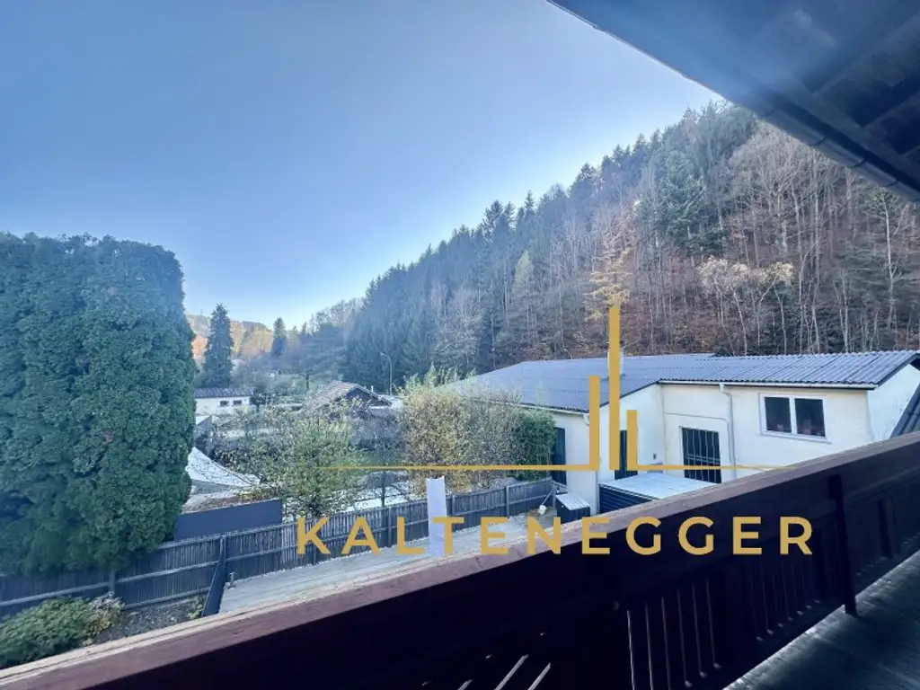 Traumhaftes Mehrfamilienhaus in Edlitz: 5 Zimmer und Pool