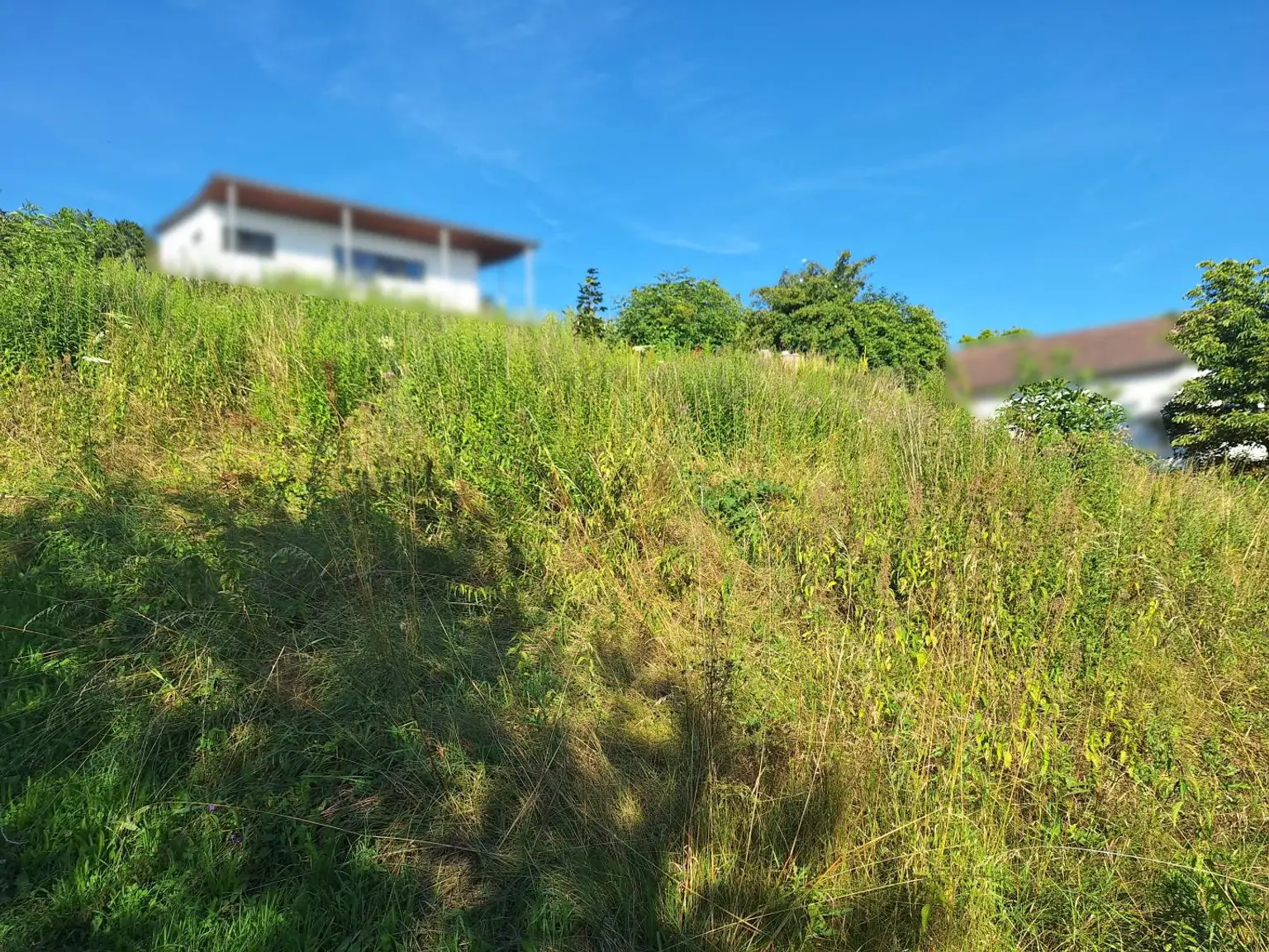 Ansicht Westen