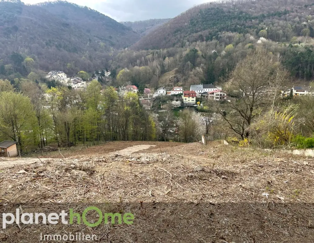 Grundstück in Hanglage in Kaltenleutgeben