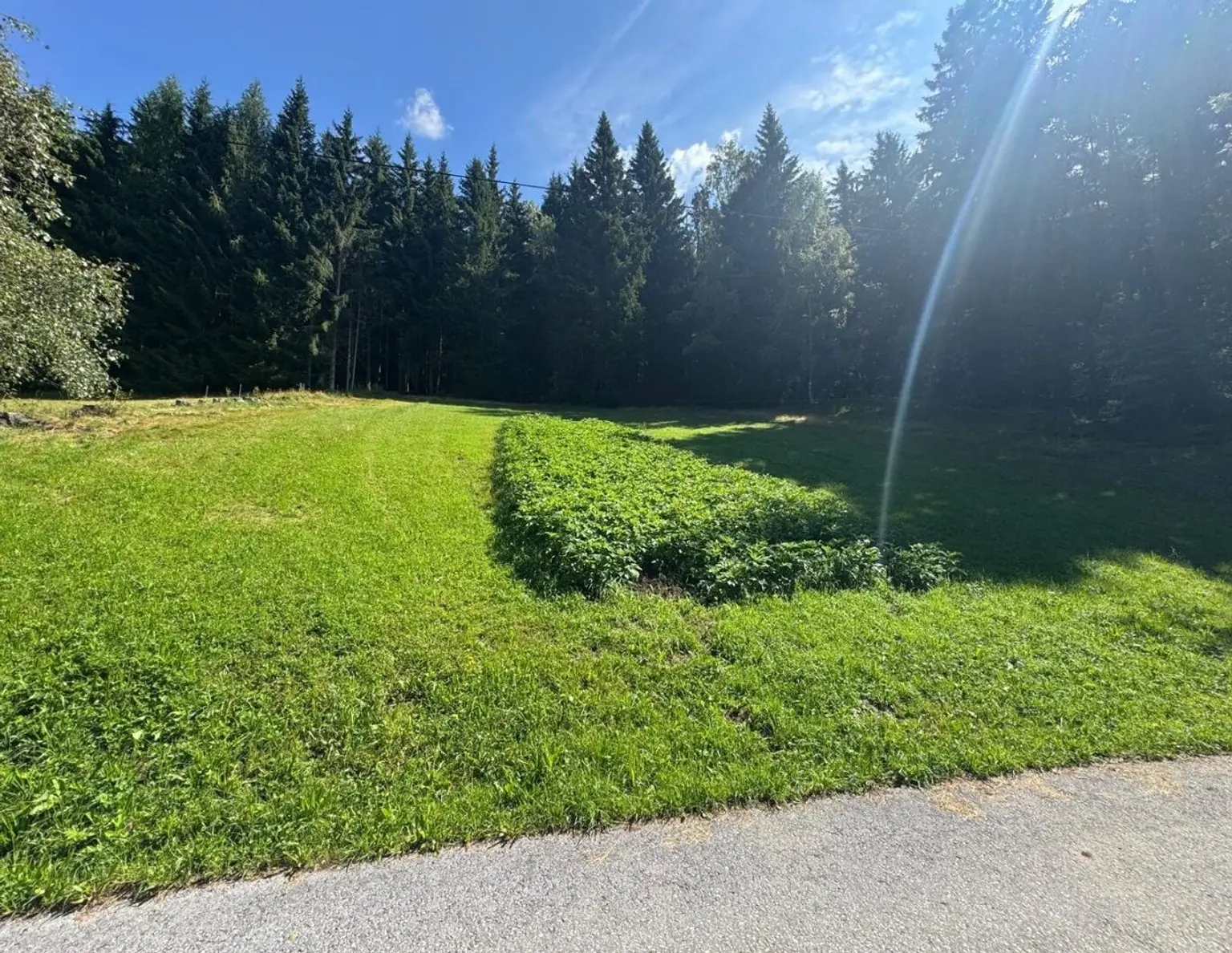 Grundstück in Oppenberg mit herrlichem Weitblick auf die umliegenden Berge und die Natur!