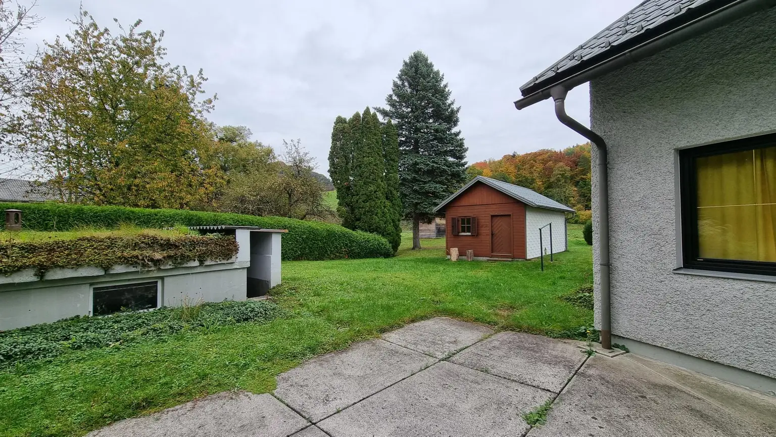 Blick zur Gartenhütte