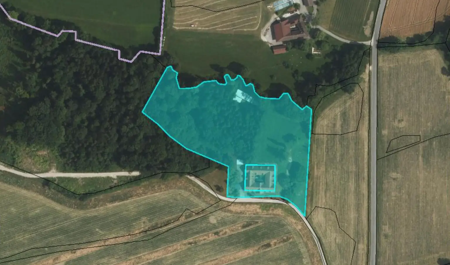 Orthofoto (Quelle: NÖ-Atlas)