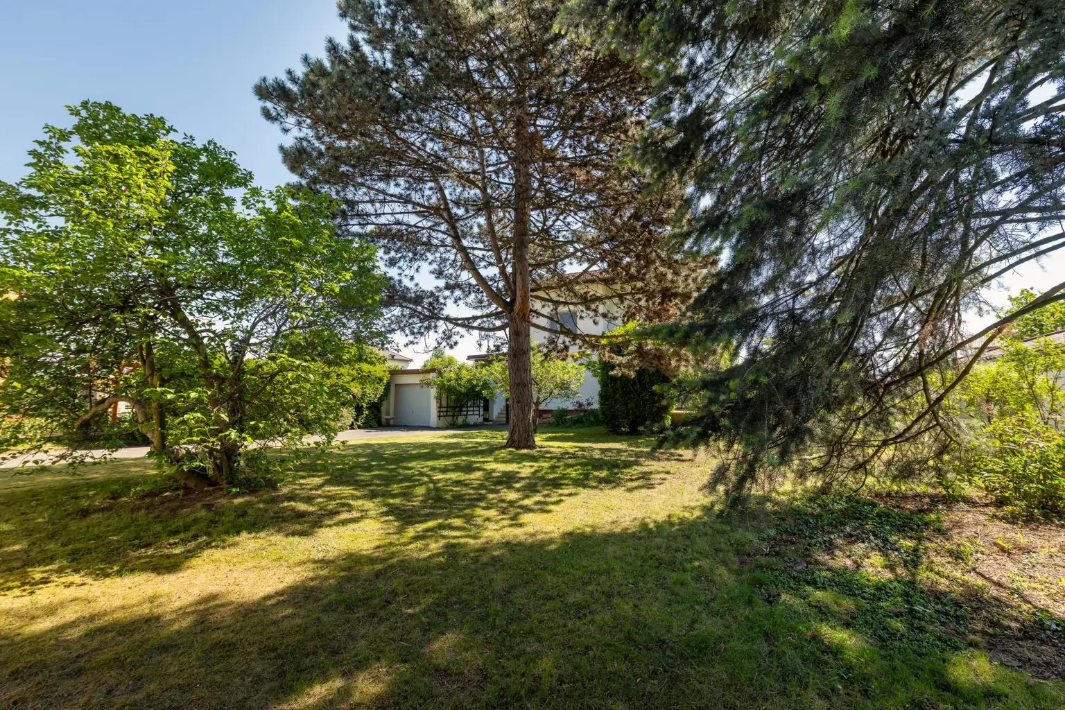 Garten mit Baumbestand