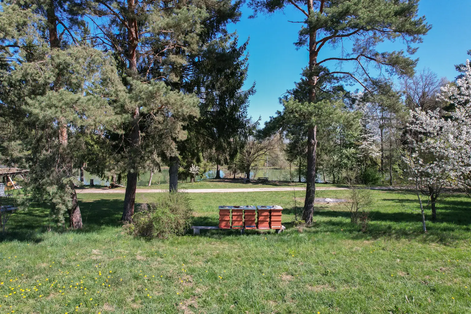 GrundstückLannach-10