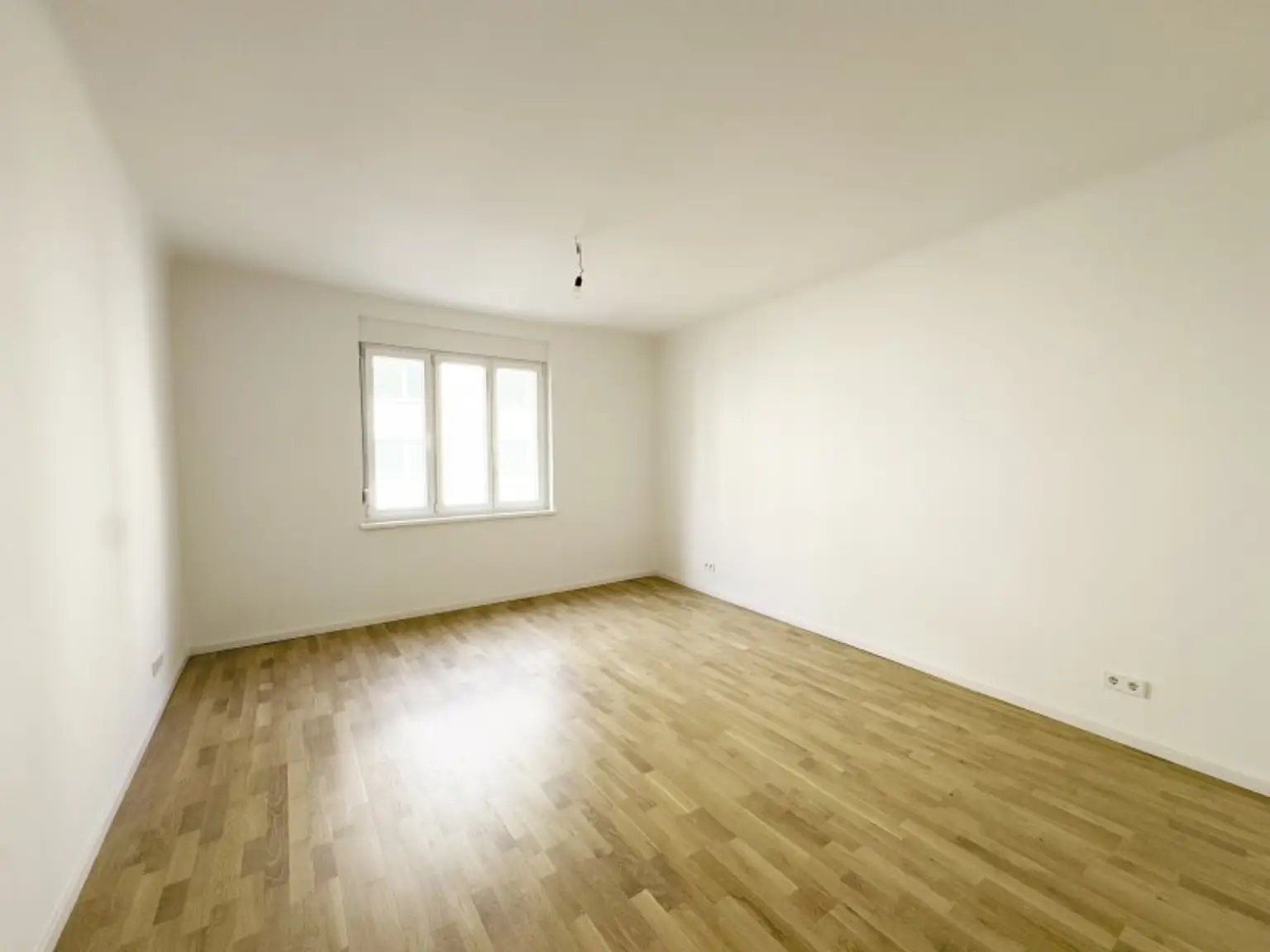 Türkenschanzpark: Stilvoller Altbau mit Außenfläche | Top-saniert & ruhig gelegen – Schöffelgasse