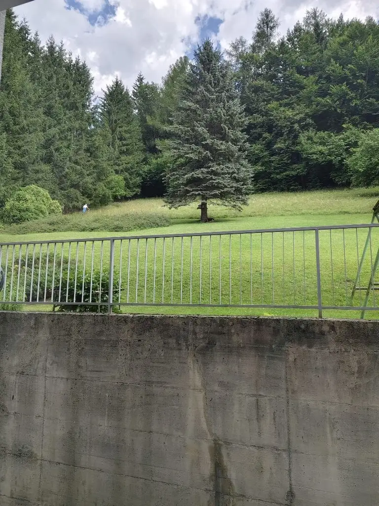Renovierte 4-Zimmer-Wohnung mit West-Loggia im Hochparterre in Mürzzuschlag zu kaufen !