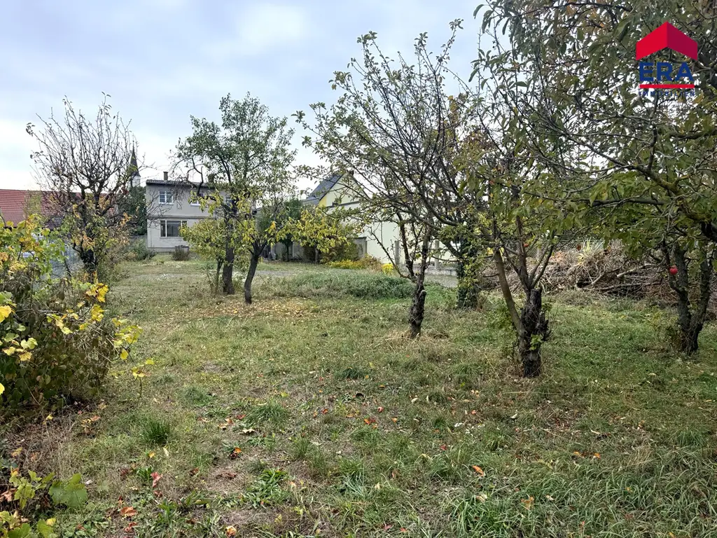 Charmantes Wohnhaus auf 2.972 m² Grund – zwei Parzellen, Nebengebäude und viel Potenzial!