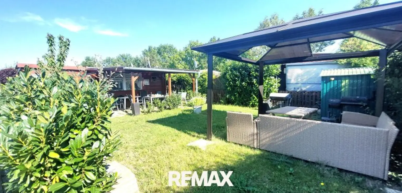Blick in den Garten