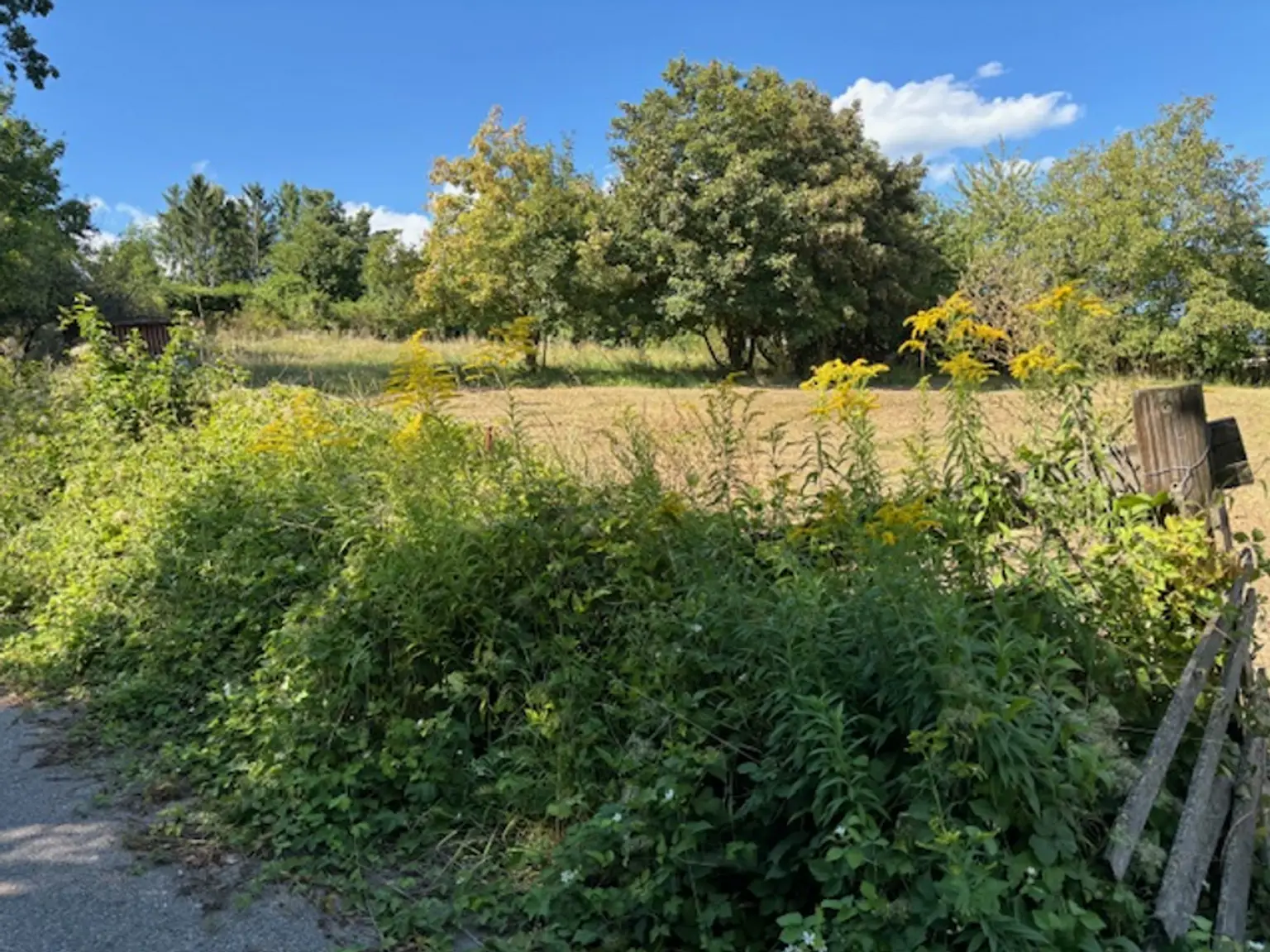 KAUFANBOT LIEGT VOR!      Wohnen im Grünen – Leben in Stadtnähe. Traumhaftes Grundstück im Wischathal!