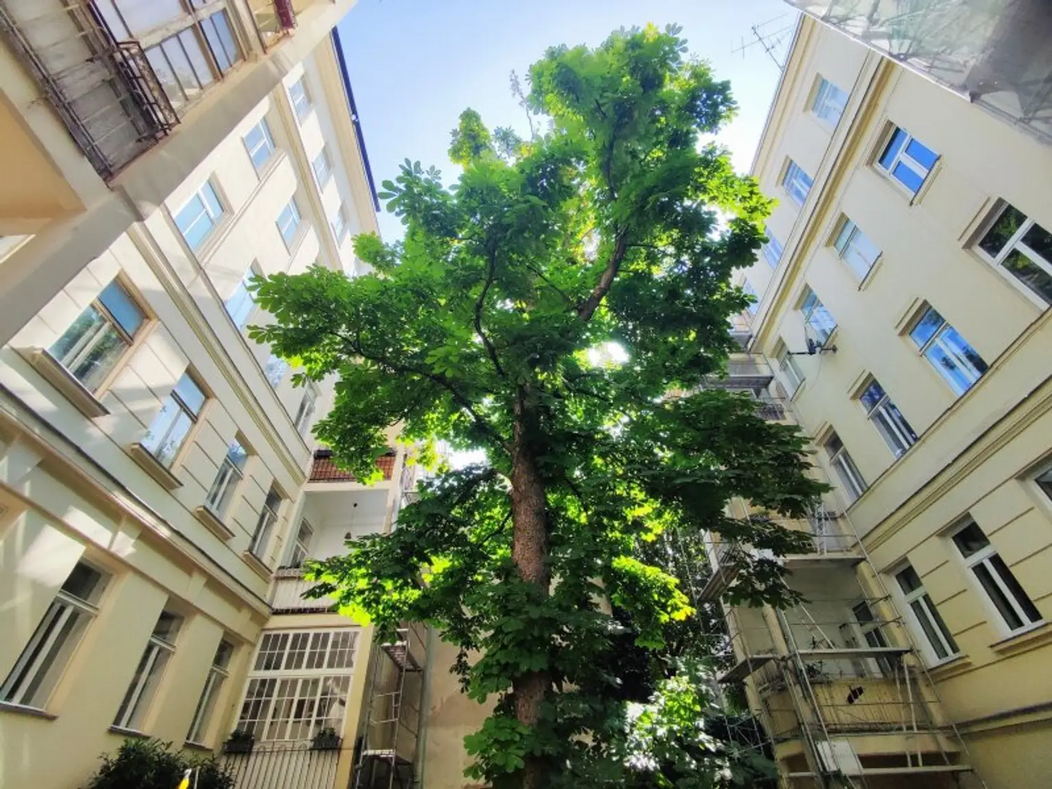 BLICK INS GRÜNE - Sanierungsbedürftiger Altbau in Hofruhelege!