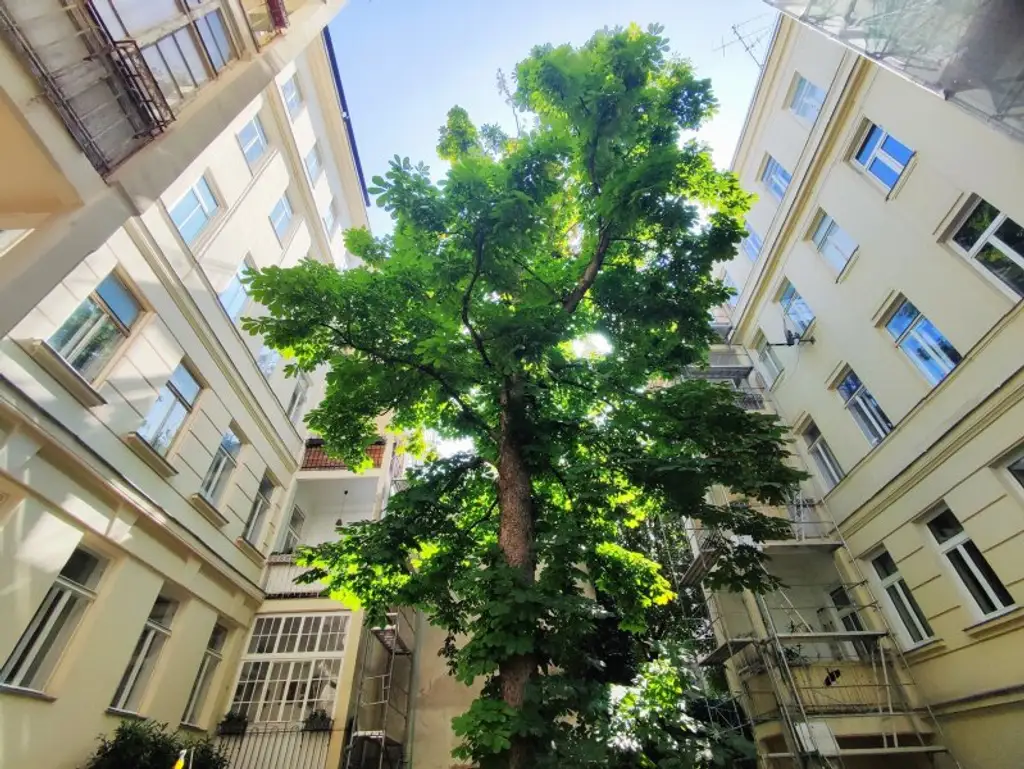 BLICK INS GRÜNE - Sanierungsbedürftiger Altbau in Hofruhelege!