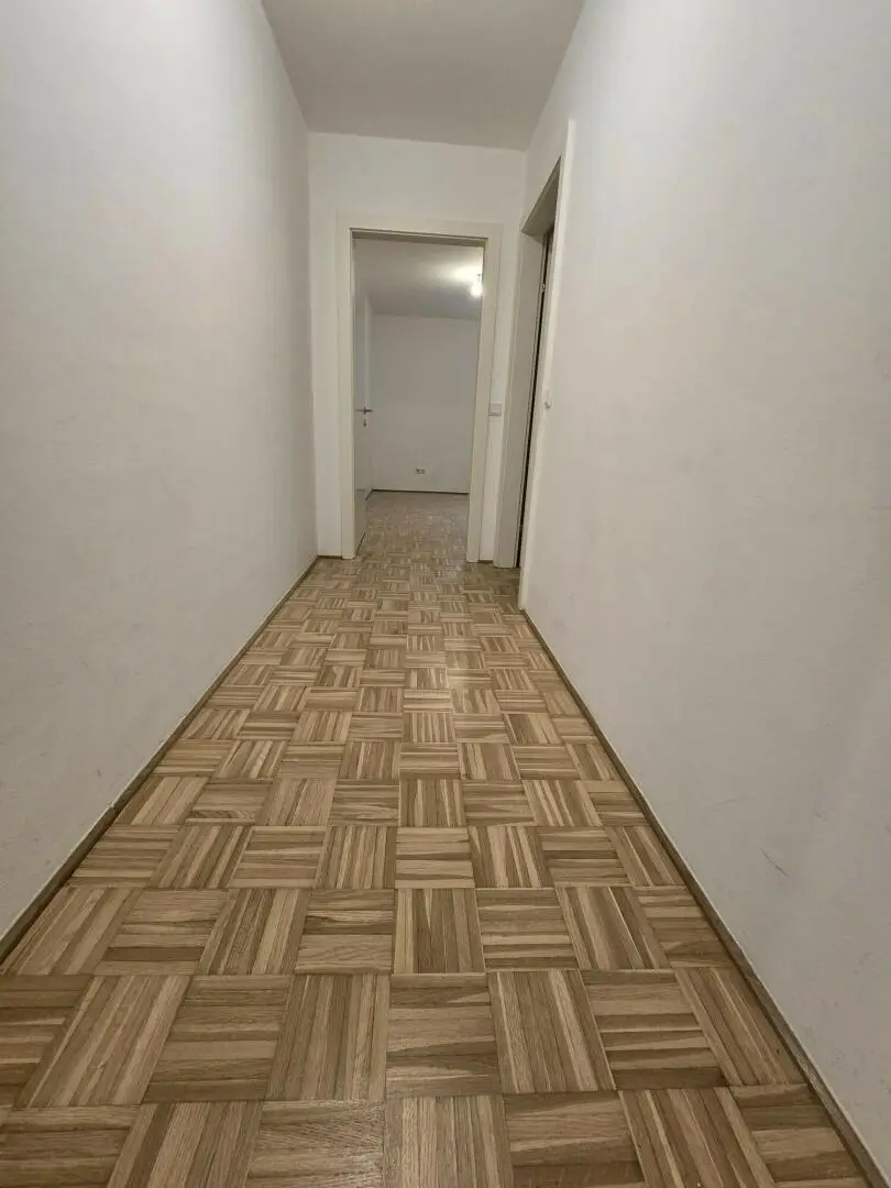 WG-Träume werden wahr! Jetzt mieten!