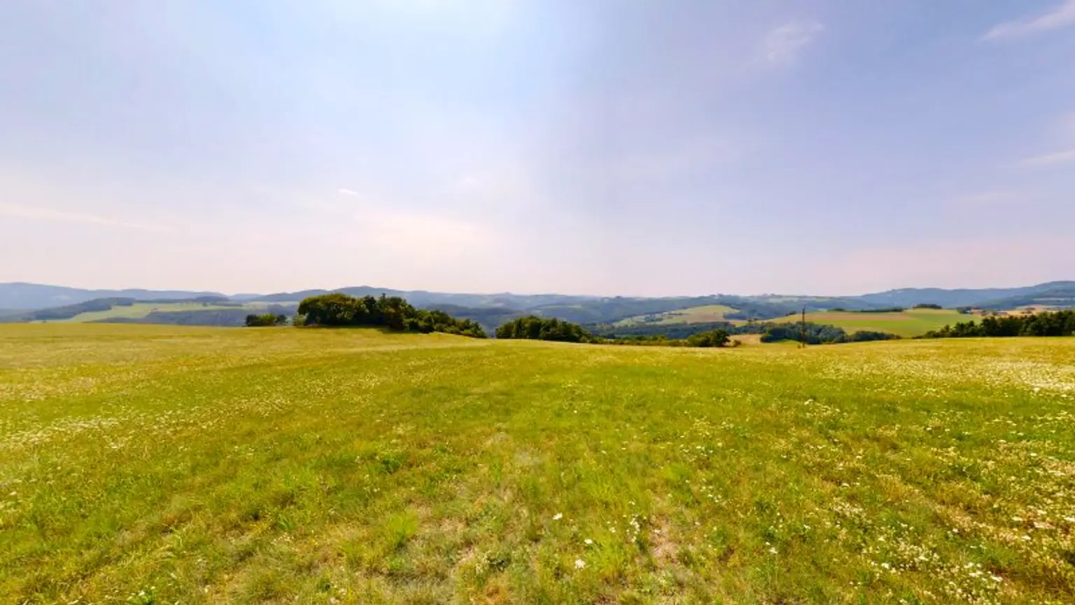 Grundstück mit Baumbestand für landwirtschaftliche Zwecke | 60.053 m² | Schwarzenbach in der Buckligen Welt