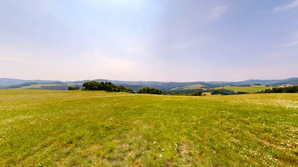 Grundstück mit Baumbestand für landwirtschaftliche Zwecke | 60.053 m² | Schwarzenbach in der Buckligen Welt