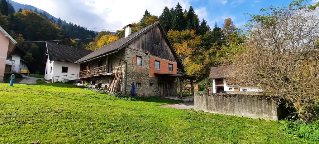 Für Naturliebhaber und Heimwerker- sanierungsbedürftiges Bauernhaus mit Nebengebäuden - zwischen Hermagor und Villach