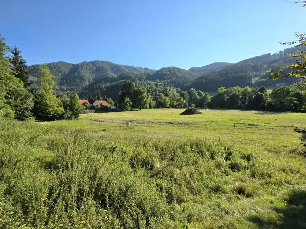 Sonniges Wohnerlebnis mit schöner Aussicht!