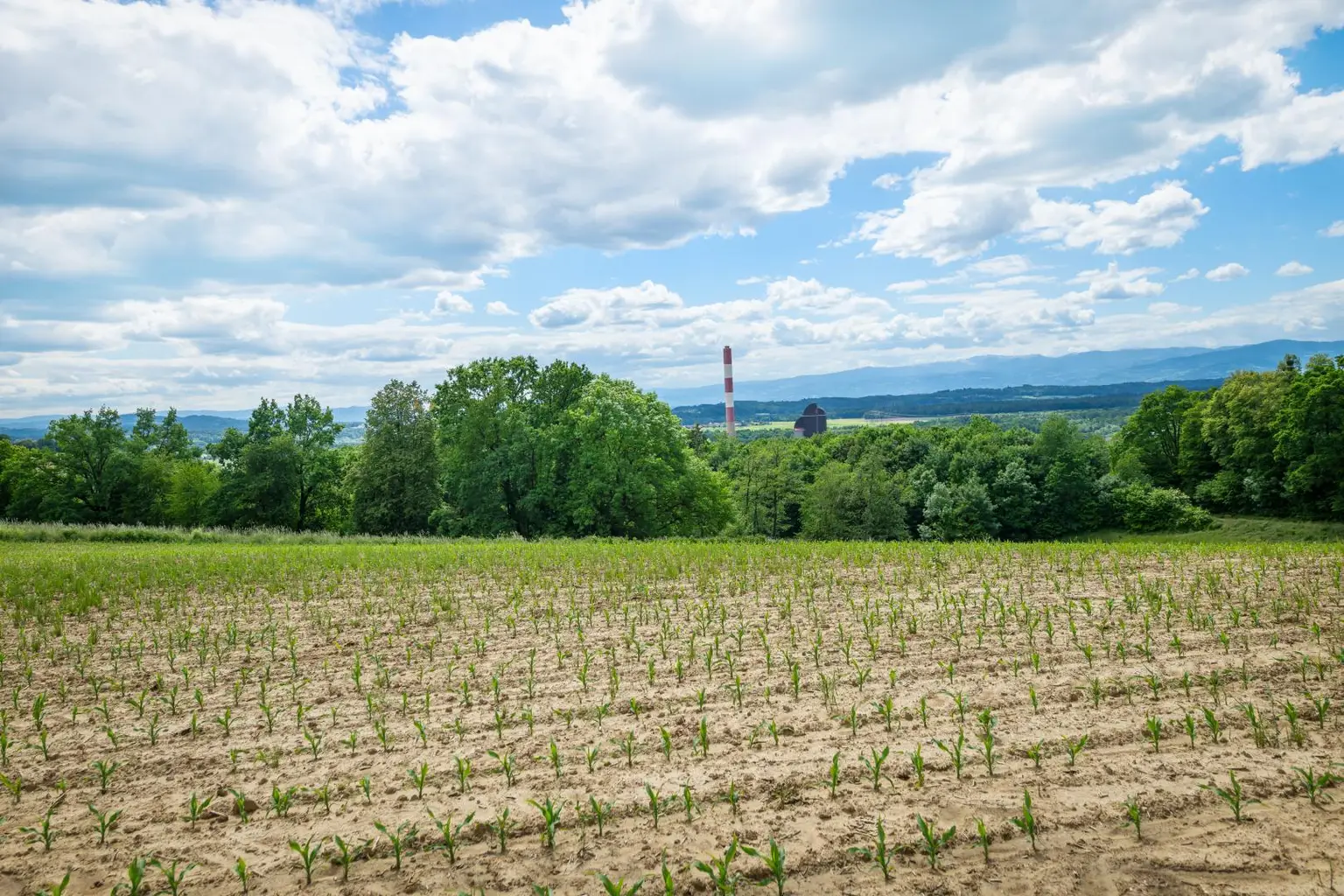 Südblick Grundstück