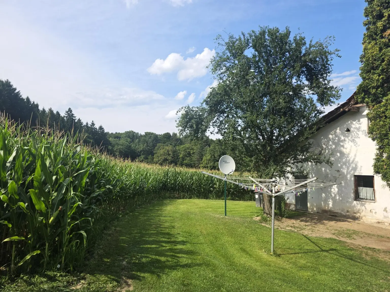 Bauernhaus (stark sanierungsbedürftig) mit Grund und kleinem Teich