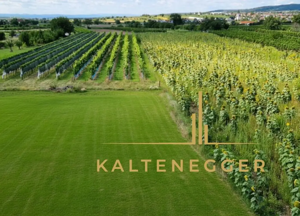 Moderner Wohnkomfort in Toplage am Neusiedlersee