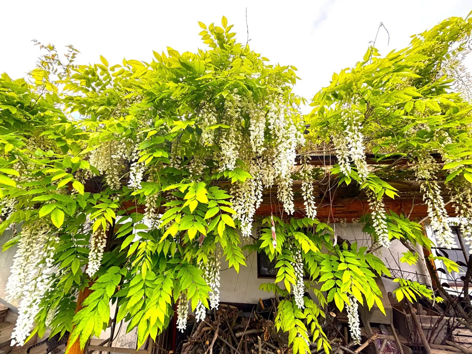 10a