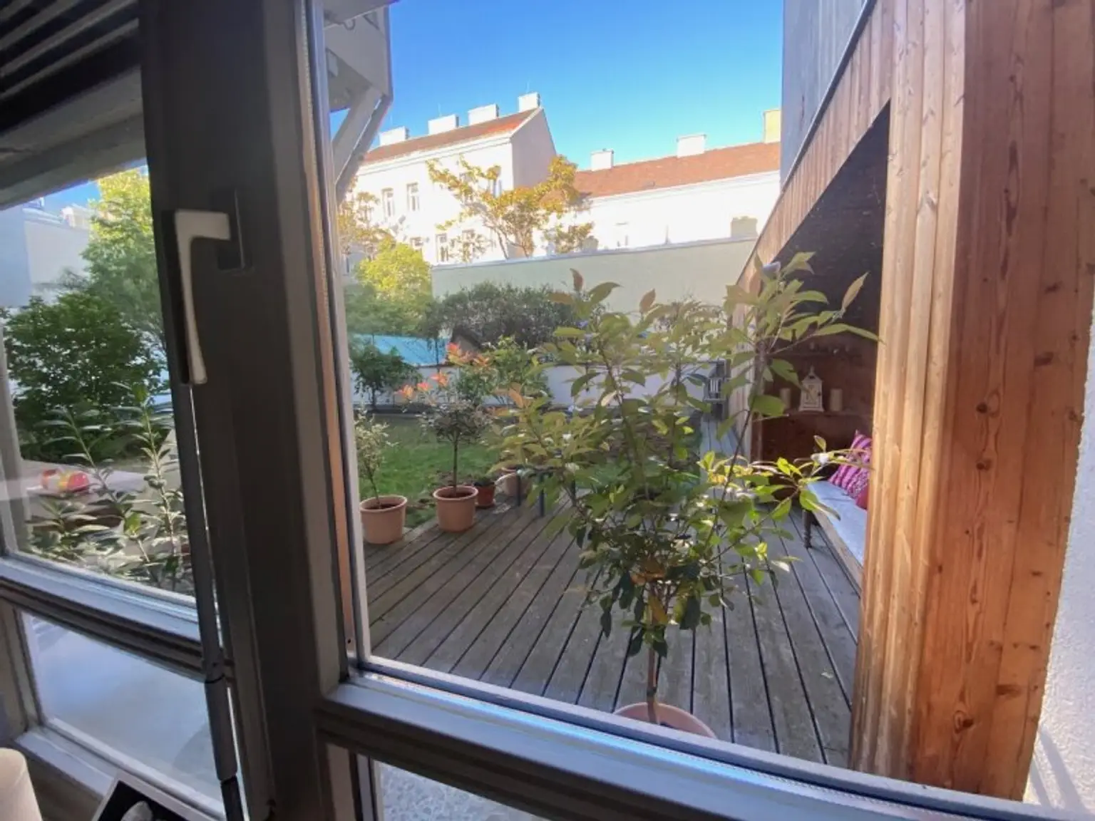 Blick in den Garten