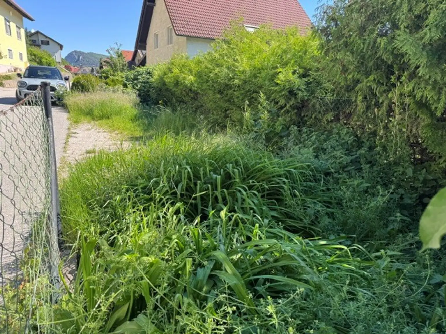 kleines Grundstück gegenüber gehört ebenfalls zur Liegenschaft