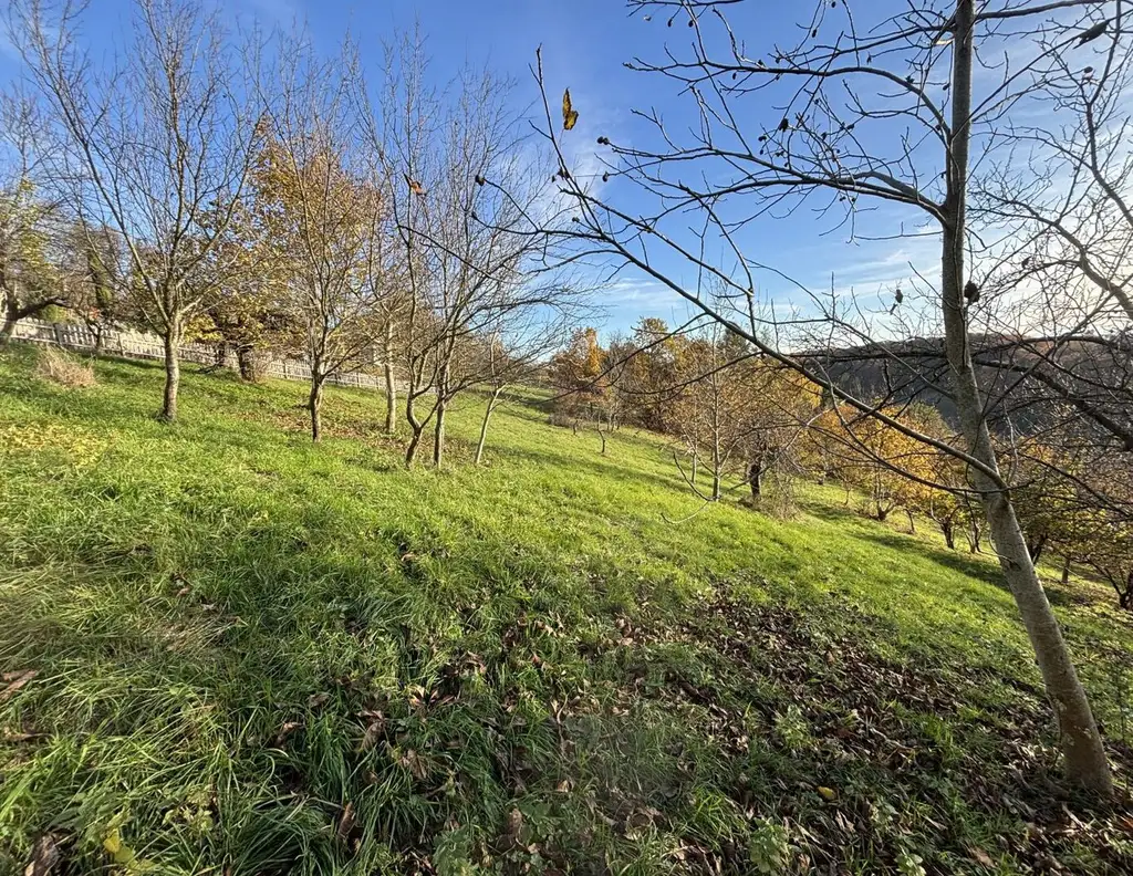 6.026m² Land und Forstwirtschaftliche Fläche in Ruppersdorf