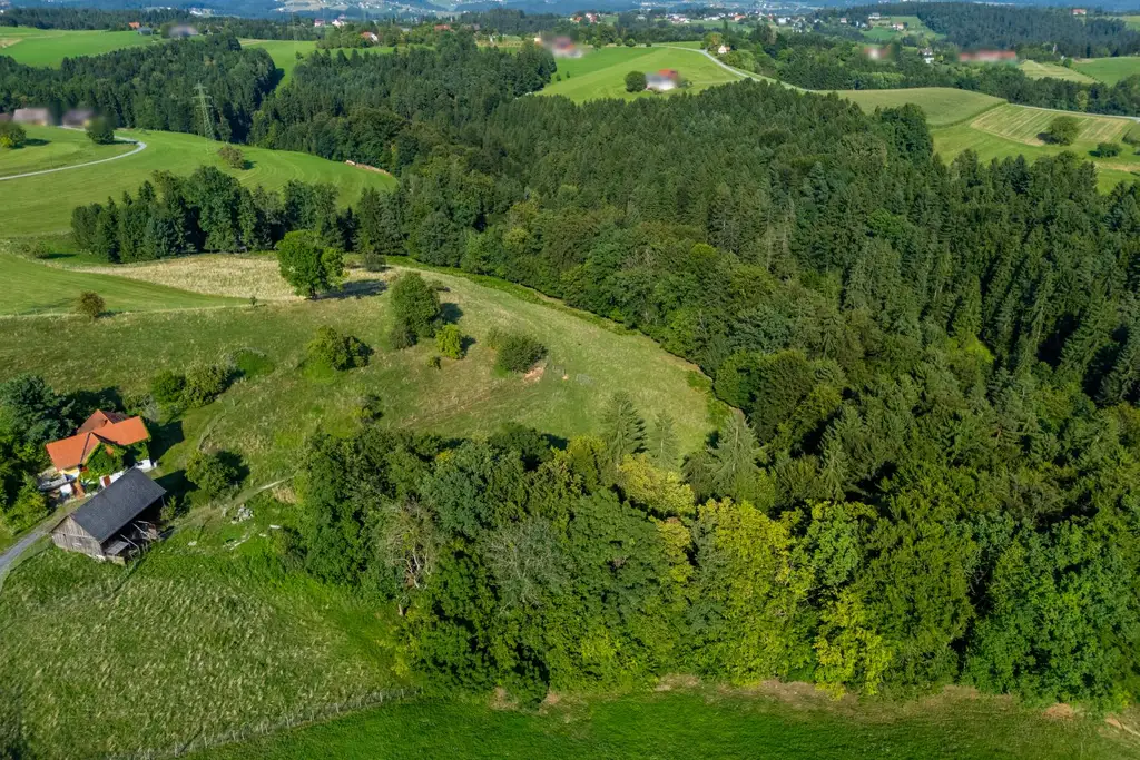 Landhaus mit Scheibengrundstück 23 Minuten vor Graz!