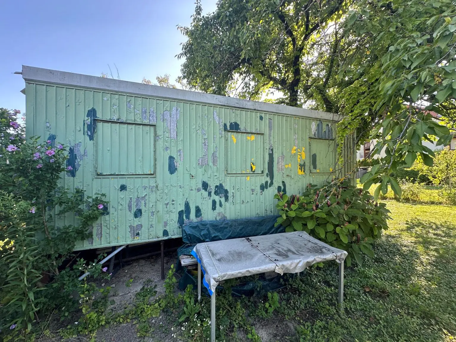 Container