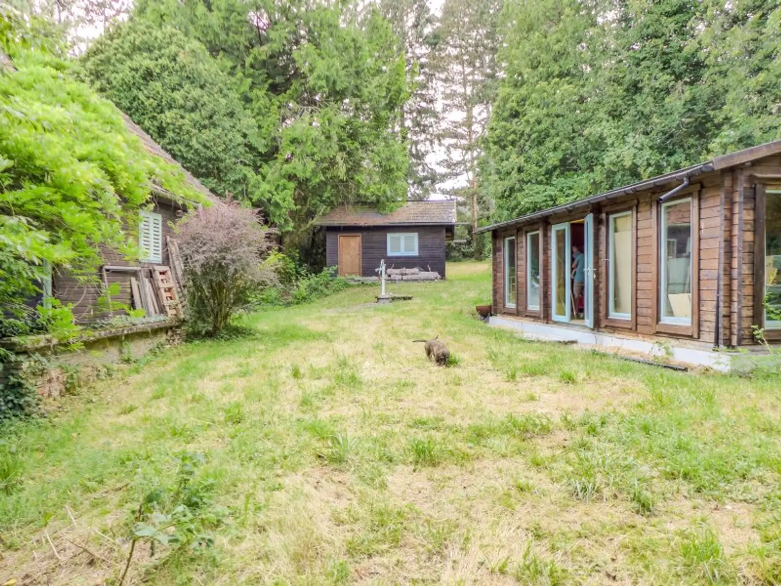 Entwicklungsfähige Liegenschaft im Wienerwald - 6.293 m² Bauland Wohngebiet