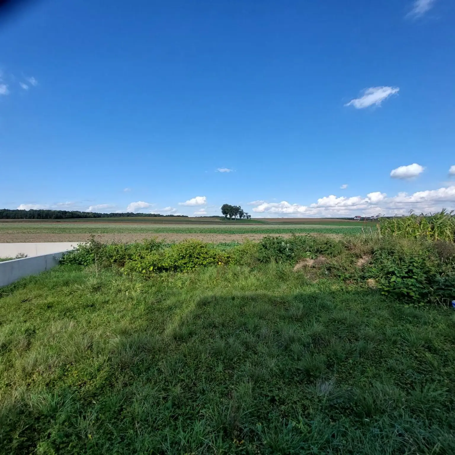 Doppelhaushälfte belagsfertig