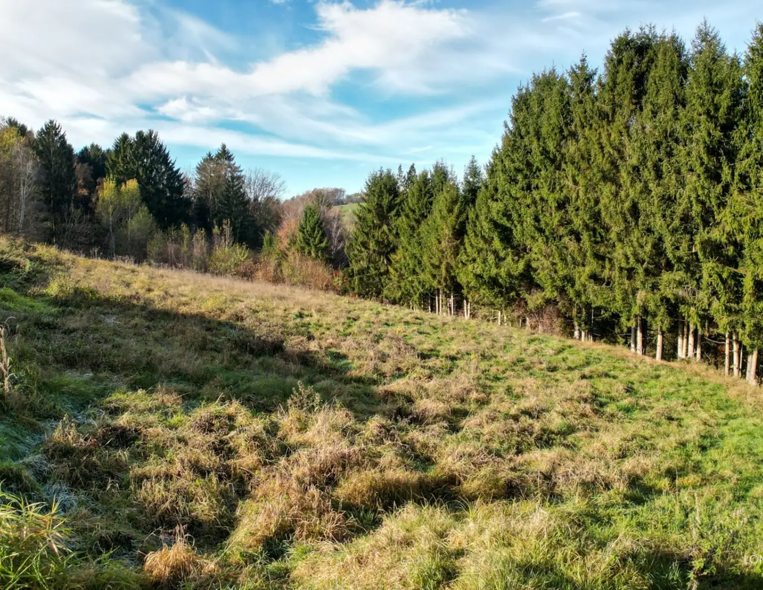 Hervorragendes Grundstück unweit der Stadtgrenze zu verkaufen!