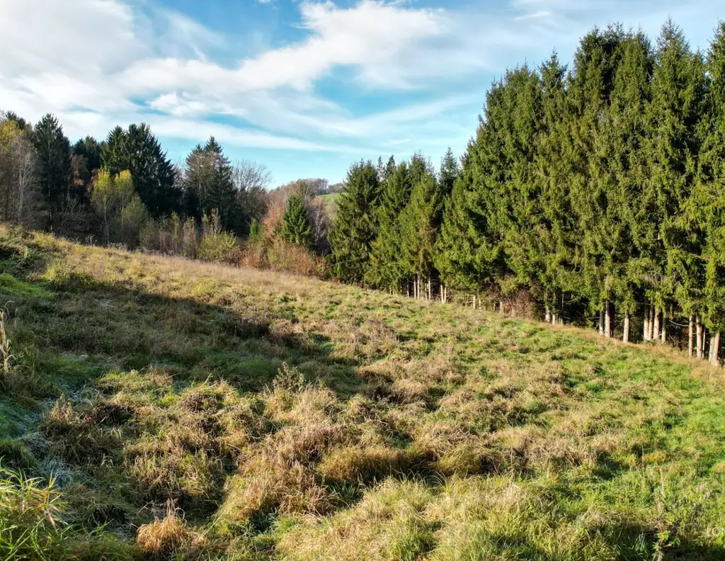 Hervorragendes Grundstück unweit der Stadtgrenze zu verkaufen!