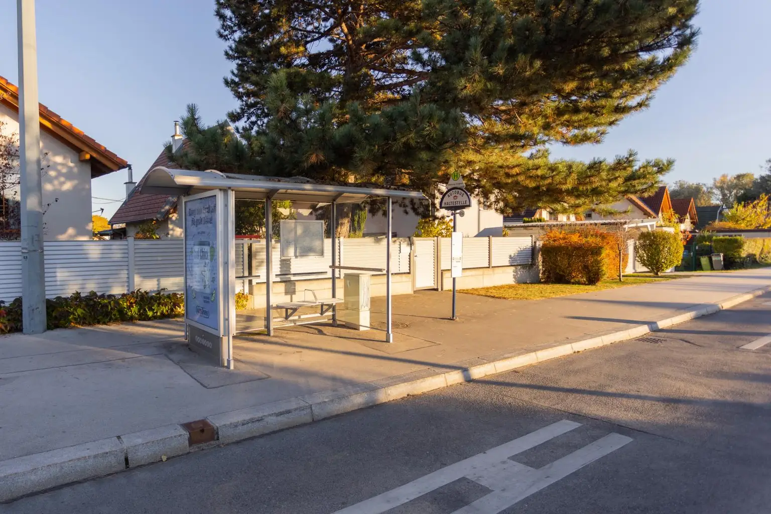 Alte Donau: Kleingartengrundstück mit Altbestand und Entwicklungspotenzial