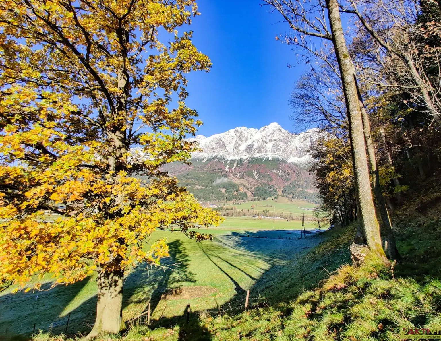 Wohnen in Ruhelage: Baugrundstück mit guter Infrastruktur in Niederöblarn.