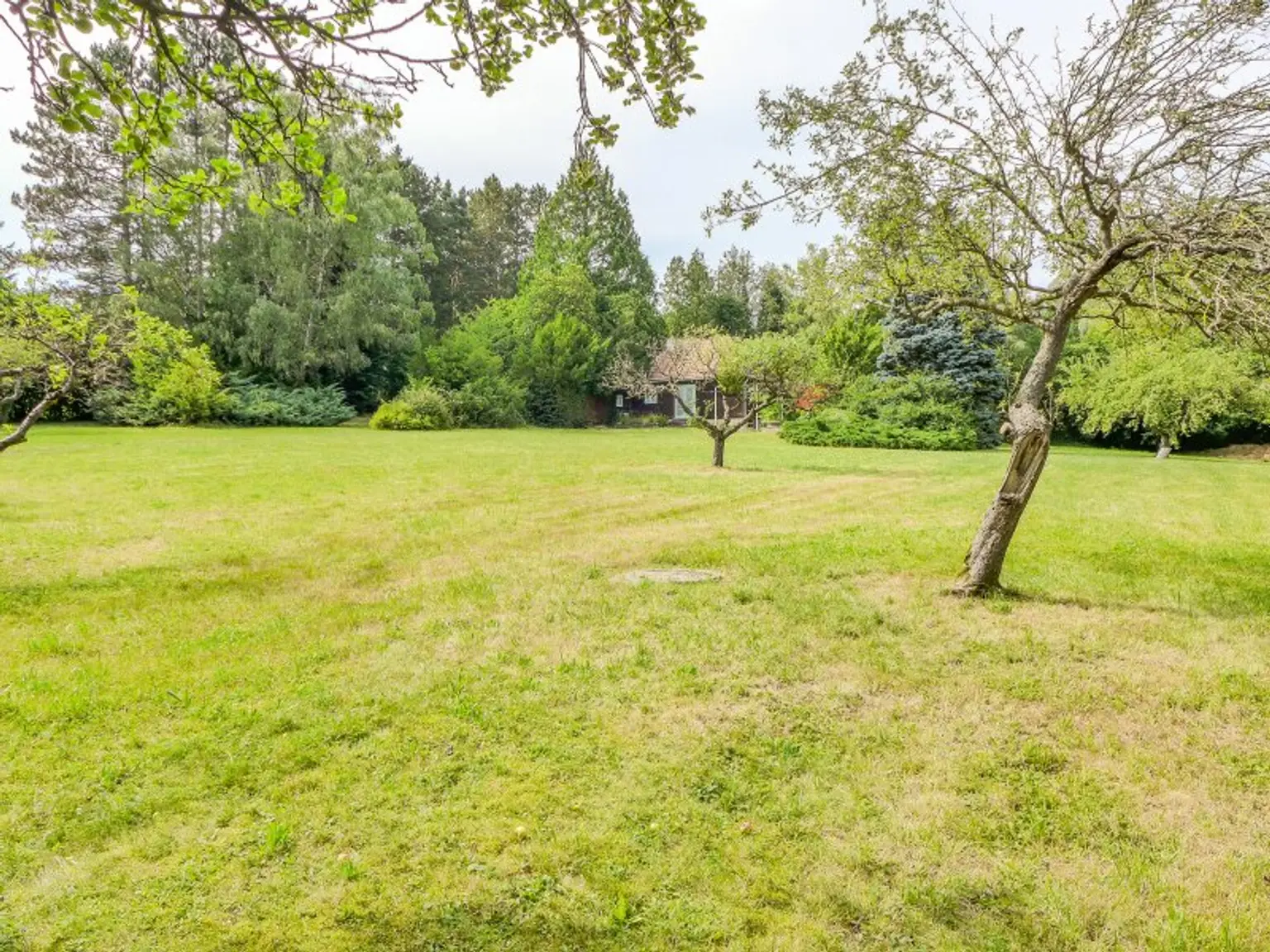 Entwicklungsfähige Liegenschaft im Wienerwald - 6.293 m² Bauland Wohngebiet