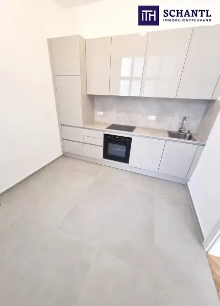 Stuck an der Decke. Gänsehaut im Herzen! 3 Zimmer und separate Küche in Bestlage in 1050 Wien! HIP und TRENDY die Gegend - Magisch schön das Altbauhaus - Ein MUST HAVE die Wohnung! TOP Infrastruktur + Beste öffentliche…