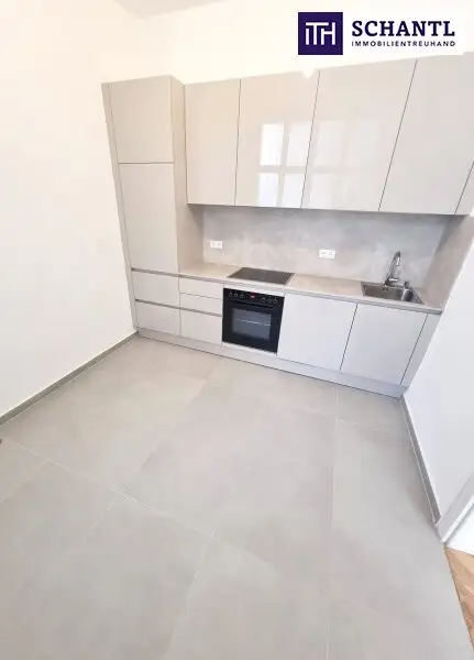 Stuck an der Decke. Gänsehaut im Herzen! 3 Zimmer und separate Küche in Bestlage in 1050 Wien! HIP und TRENDY die Gegend - Magisch schön das Altbauhaus - Ein MUST HAVE die Wohnung! TOP Infrastruktur + Beste öffentliche…