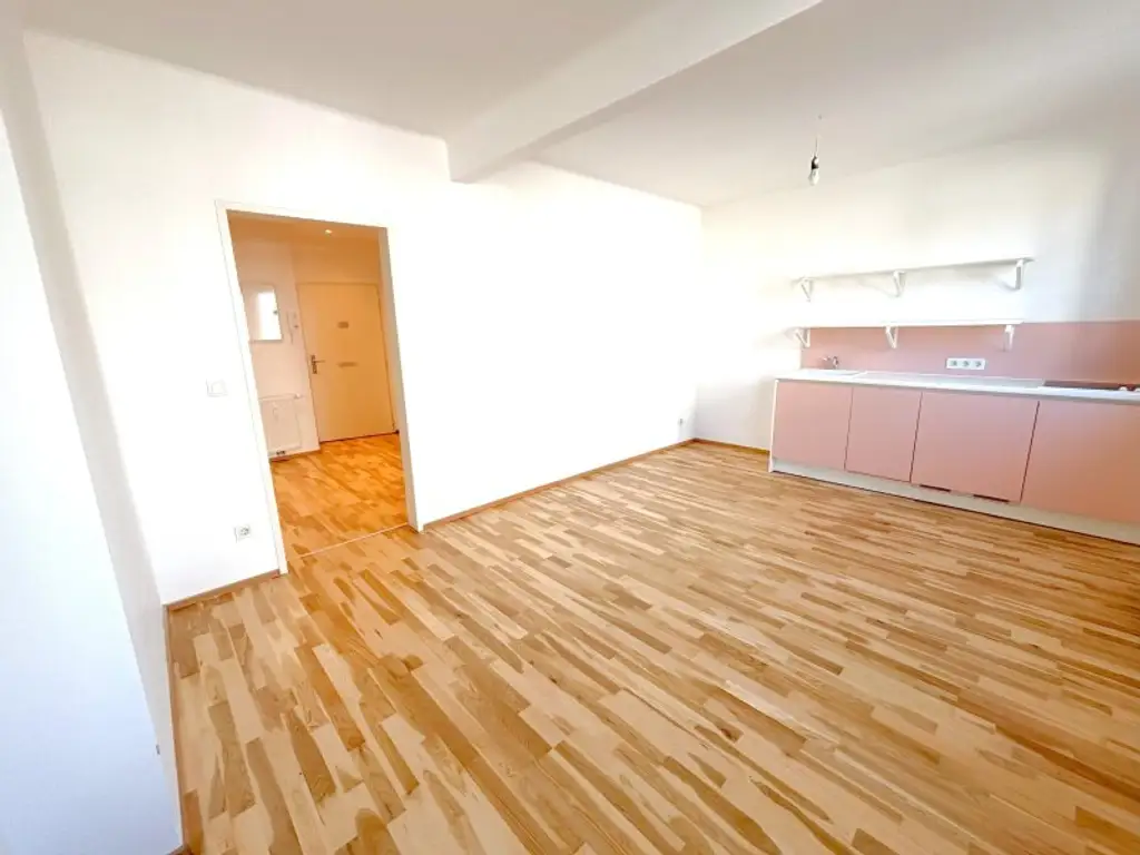 Geräumige 3-Zimmer-Wohnung Nähe Linzer Stadtzentrum!