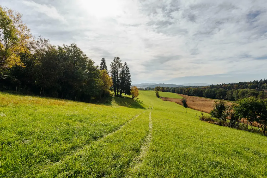 Baugrund mit altem Gebäude und Bauerwartungsland mit Weganteil im Zentrum von Hengsberg